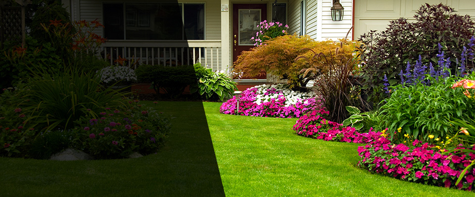 Pacifica Landscapers