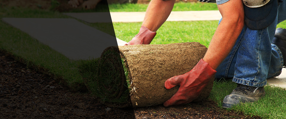 Pacifica Landscapers